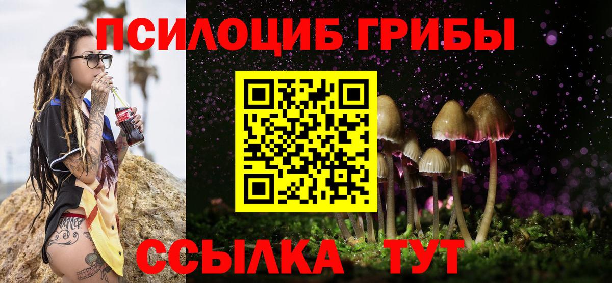 Галлюциногенные грибы мухоморы Владивосток